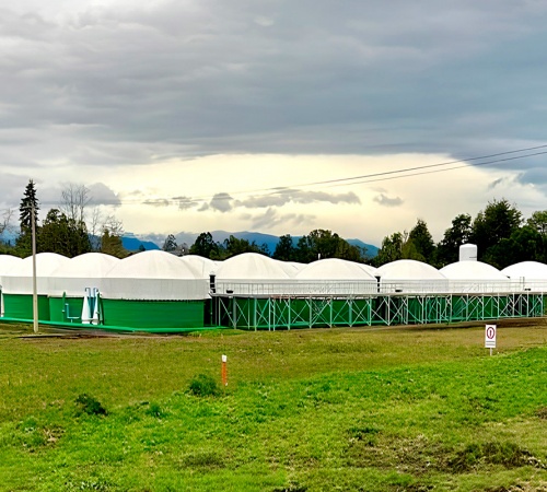 Industria Salmonera y Piscicultura