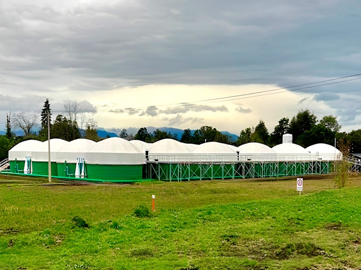 Industria Salmonera y Piscicultura